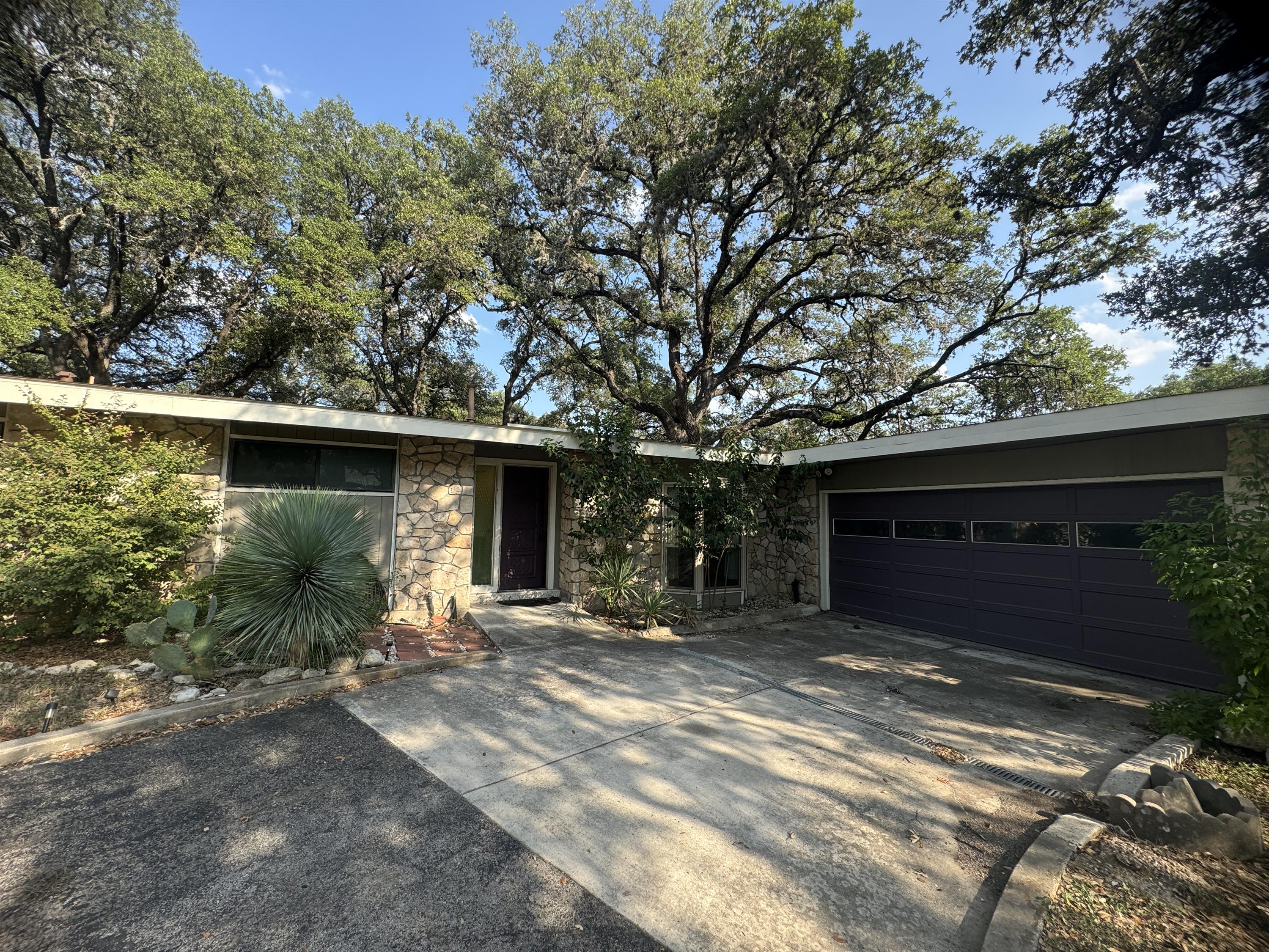 10910 Cedar Elm Drive